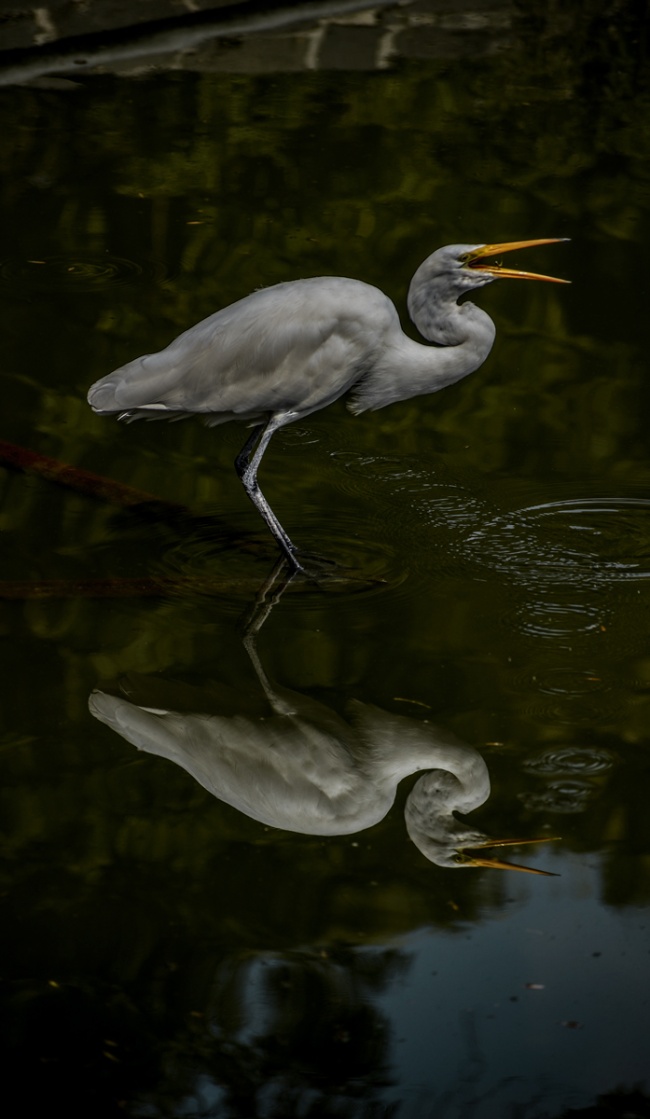 foto:Daniela Sánchez Cacho - lo hecho en México