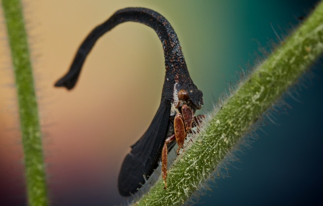 foto:Jesus Sanchez Angeles - lo hecho en México