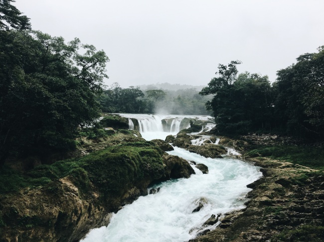 Andrea Farias Saldaña 