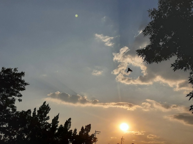 foto:Abraham Torres de la Concha - lo hecho en México
