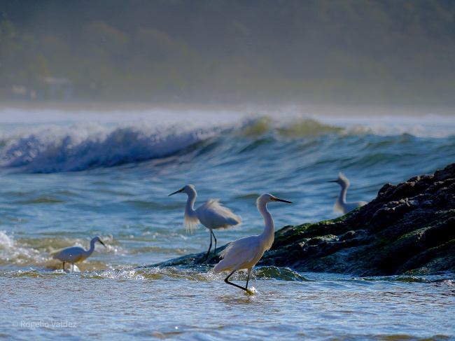 foto:Rogelio Valdez Mendoza - lo hecho en México