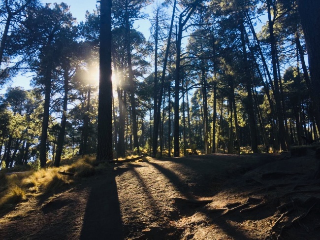 foto:Alan Pérez Barranco - lo hecho en México