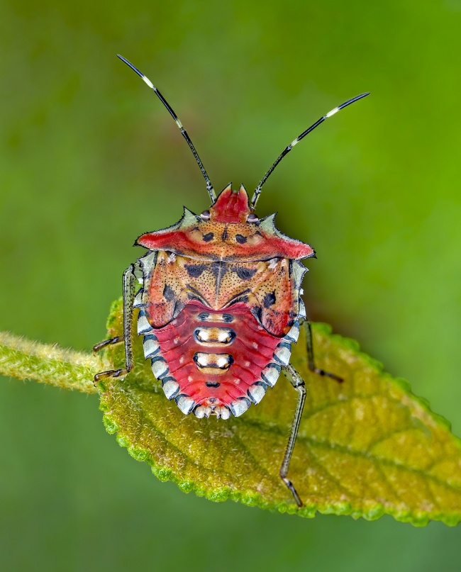 foto:Eduardo Axel Recillas Bautista - lo hecho en México