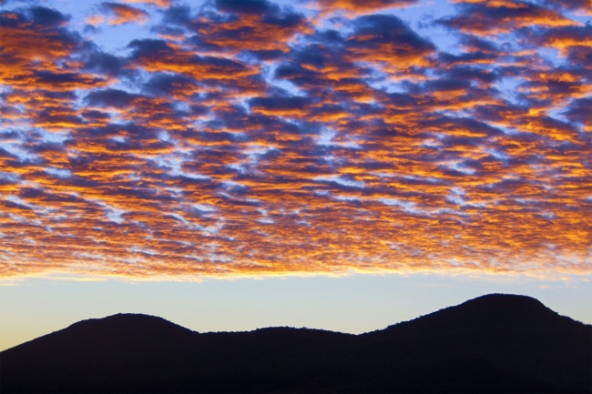 ANTONIO MAX RAMÍREZ BRITO 