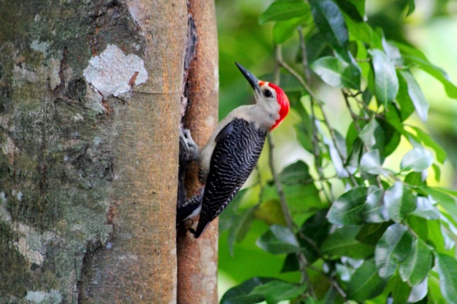 foto:Rodrigo Madariaga Rodriguez - lo hecho en México