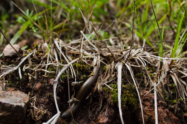 Angel Samuel Martinez Vera 