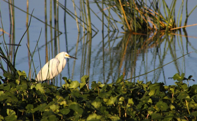 foto:Daniela Izquierdo Ovando - lo hecho en México