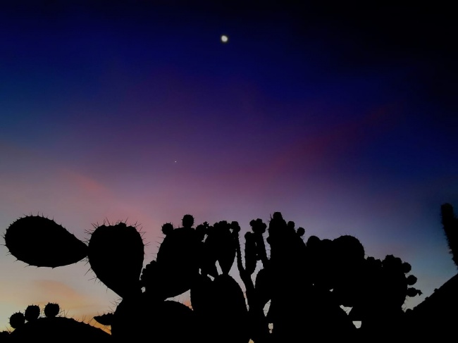 foto:Alexis Lira Vázquez - lo hecho en México