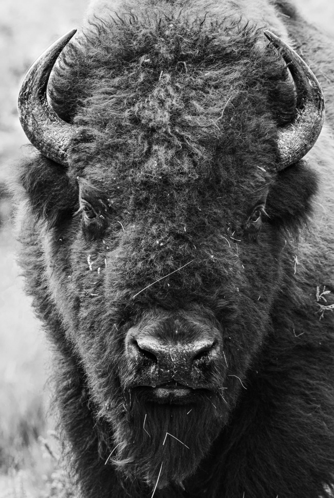 foto:Diana Griselle Zendejo Valle - lo hecho en México