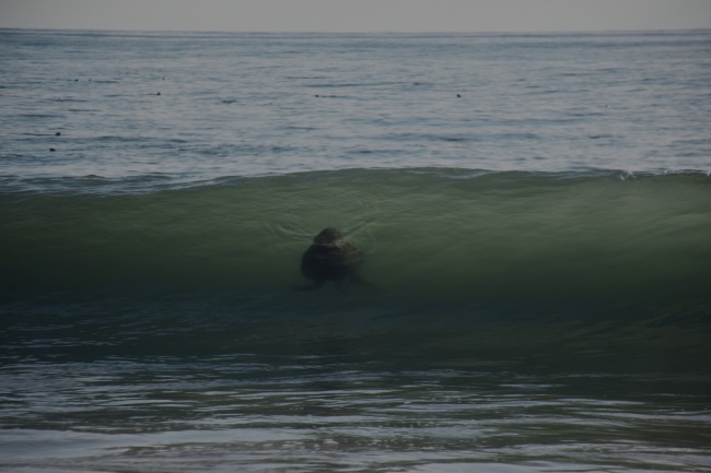 foto:Laura Margarita Montes Urquidi - lo hecho en México
