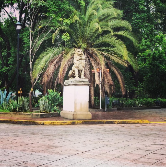 foto:Leonardo Cabrera Toledo  - lo hecho en México