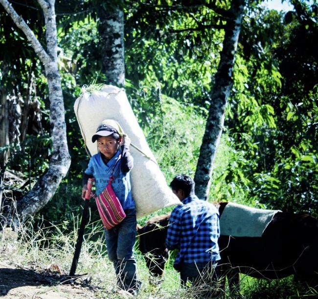 foto:Daniel Antero Cruz Galicia - lo hecho en México
