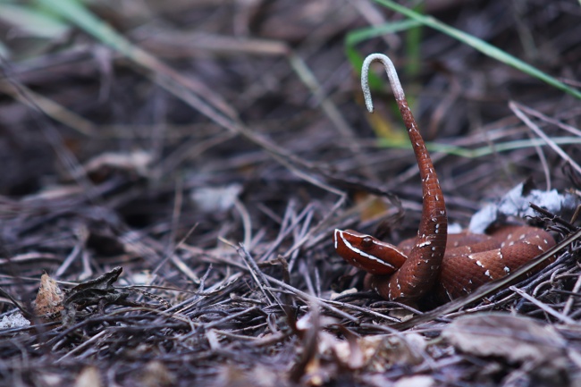 foto:Luis Eduardo Bucio Jimenez - lo hecho en México