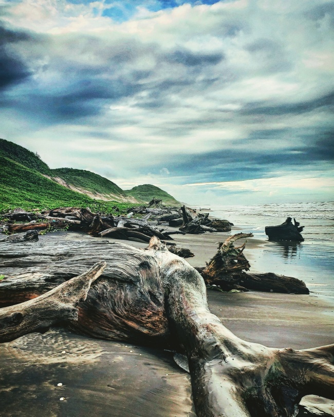 Borda Silva Alan Javier 