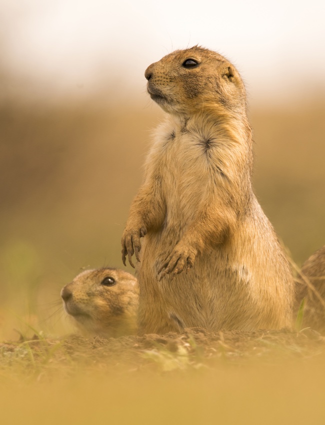 foto:Andrea Cantu Garza - lo hecho en México