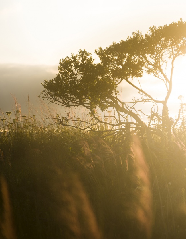 foto:Luis Ernesto Medina Rodríguez - lo hecho en México