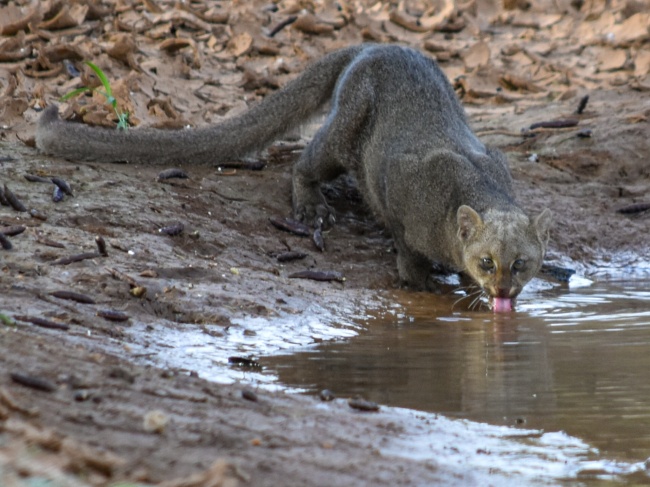 foto:Tomás Valdivia Pérez - lo hecho en México