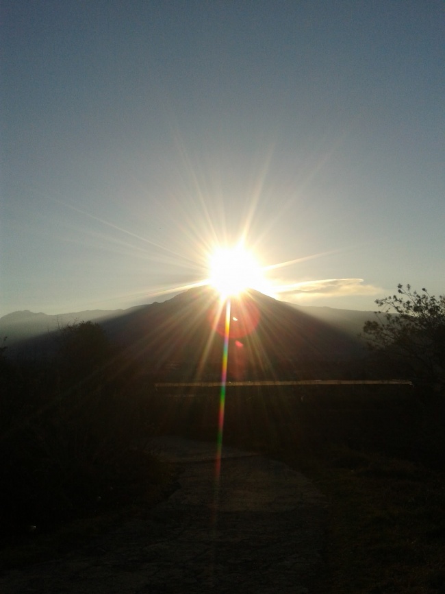 Fernando Muñoz Muñoz 