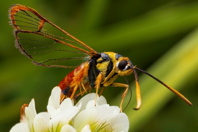 foto:Kevin Dorian Tinoco Barrera - lo hecho en México