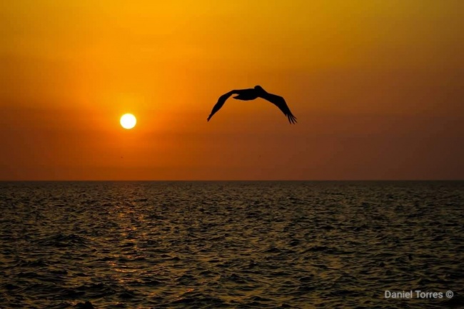 foto:Daniel Torres Ramírez - lo hecho en México