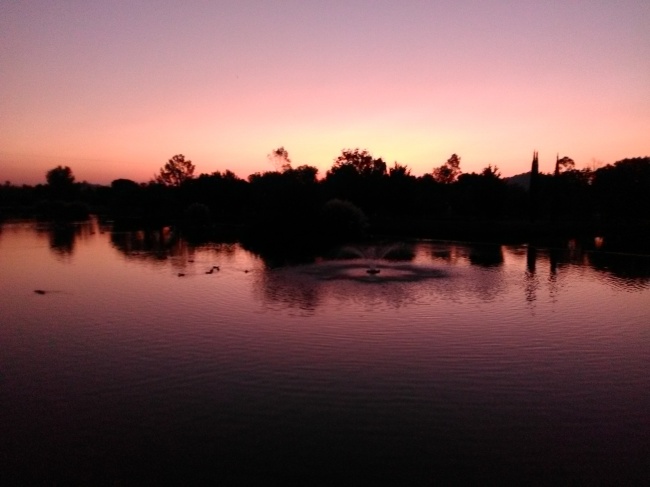 David Eduardo Lopez Velázquez 