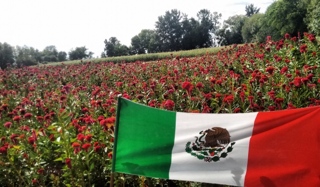 JUAN CARLOS AVELAR HUERTA 