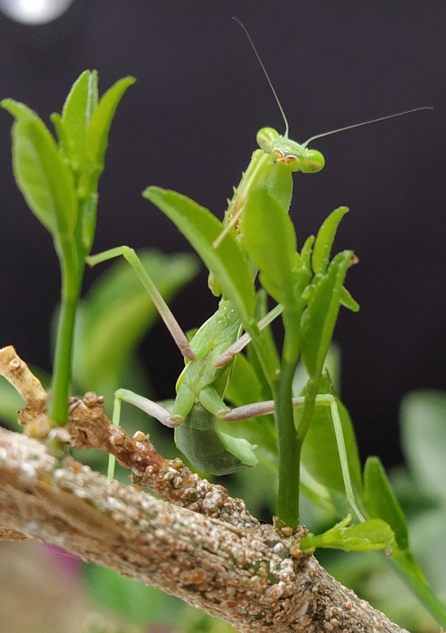 foto:ANA MARÍA TÉLLEZ - lo hecho en México