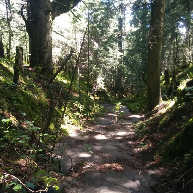 Leslie Conde Hernandez 