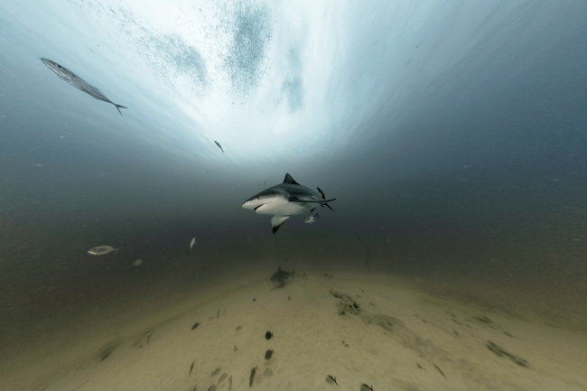 foto:Mizael palomeque - lo hecho en México