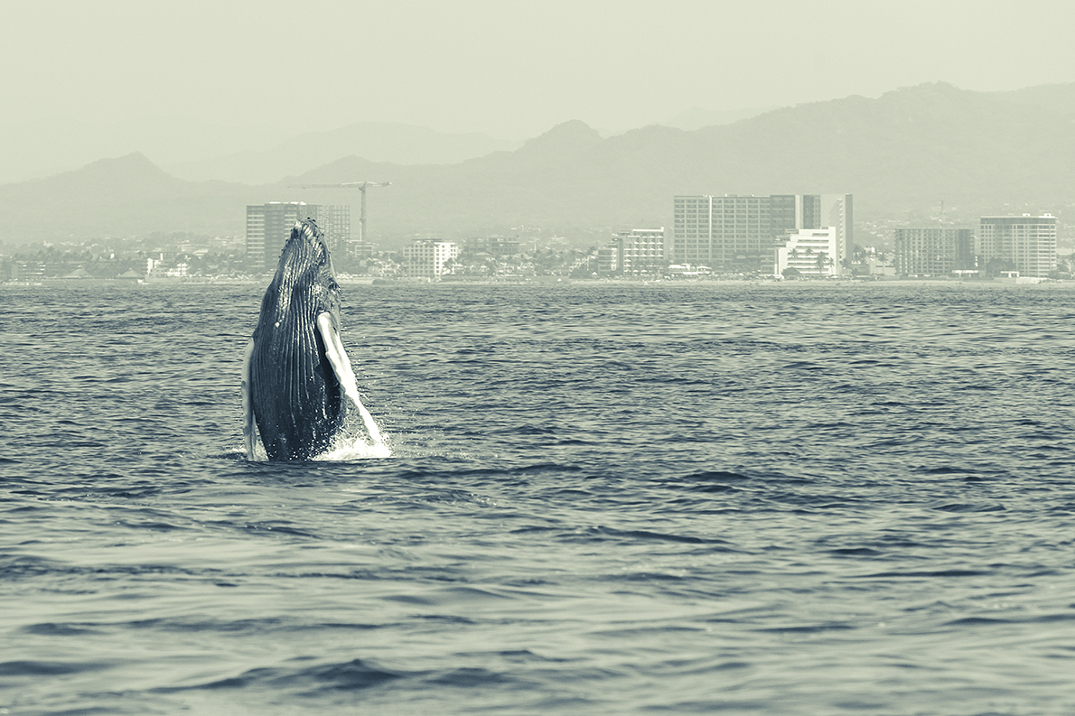 foto:Emilio Prado - lo hecho en México