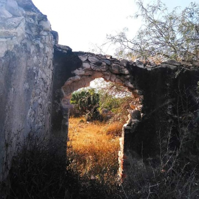 Guadalupe Chávez Daniel 