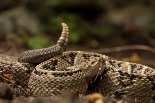 foto:FRANCISCO ALBERTO SÁNCHEZ ALMAGUER - lo hecho en México