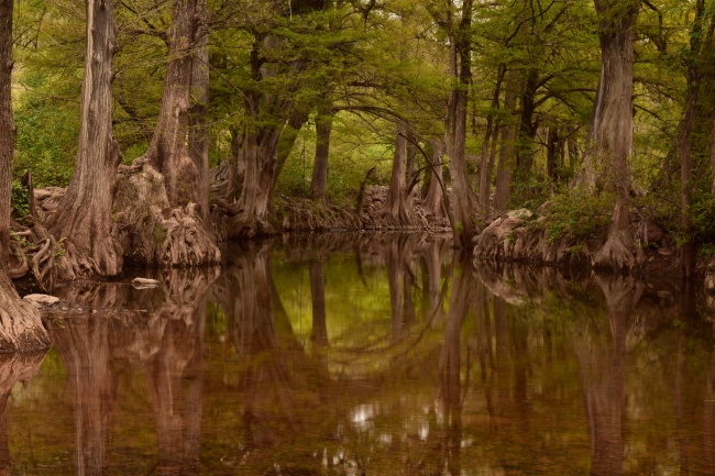 foto:Claudia Bravo Cázares - lo hecho en México