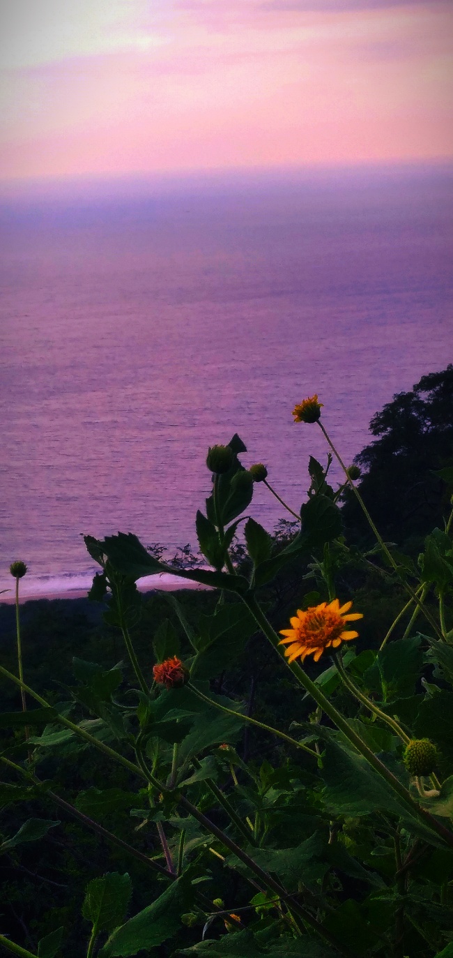 foto:Angel serrano Menéndez - lo hecho en México