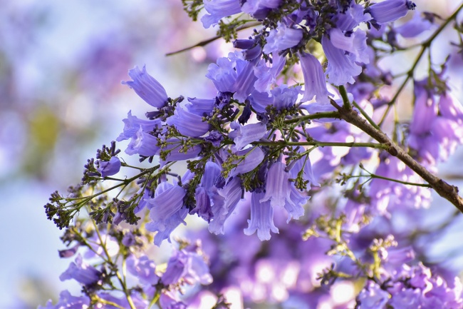 foto:Bricia Paloma Castro Gómez - lo hecho en México