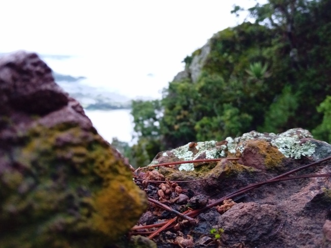 foto:Alan Amaury Gaytan Bautista - lo hecho en México