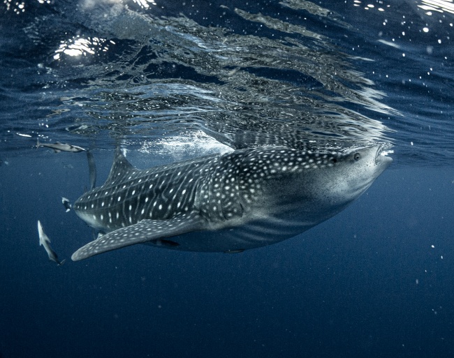 foto:Anaa Cecilia Gutiérrez Navarro - lo hecho en México