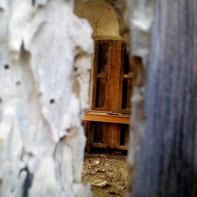 Hamlet Narayan Avila Contreras 