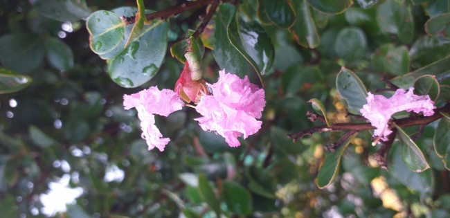 foto:Ana karina camacho sotelo - lo hecho en México