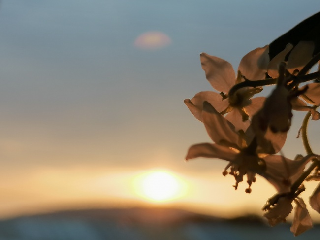 Esbeidy Sarabia Sarabia 