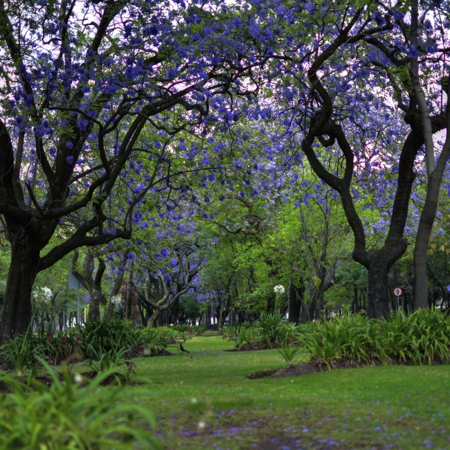 foto:FERNANDO GOMEZ CASTAÑON - lo hecho en México