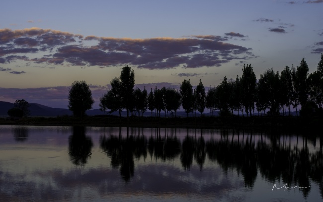 MARICARMEN CHAVEZ FELAN 