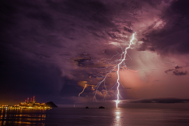 Dianne Hofner Saphiere 