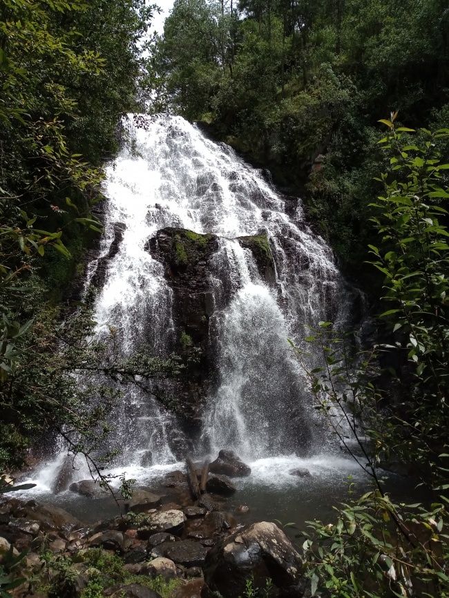 foto:José Eduardo Ramírez González - lo hecho en México