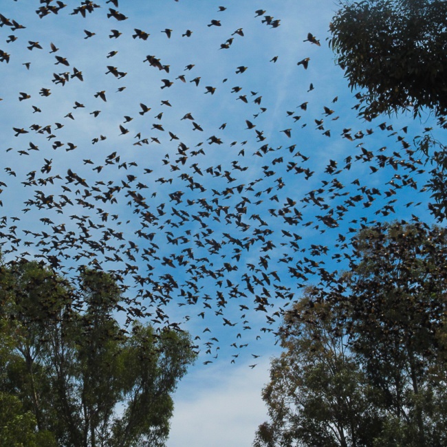 foto:oswaldo - lo hecho en México