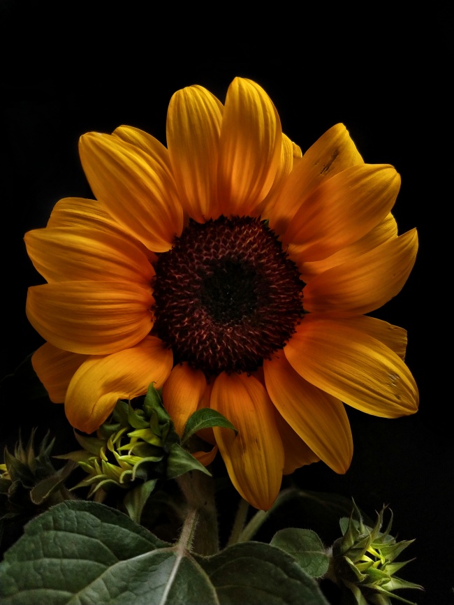 foto:Tere Ramírez Moguel - lo hecho en México