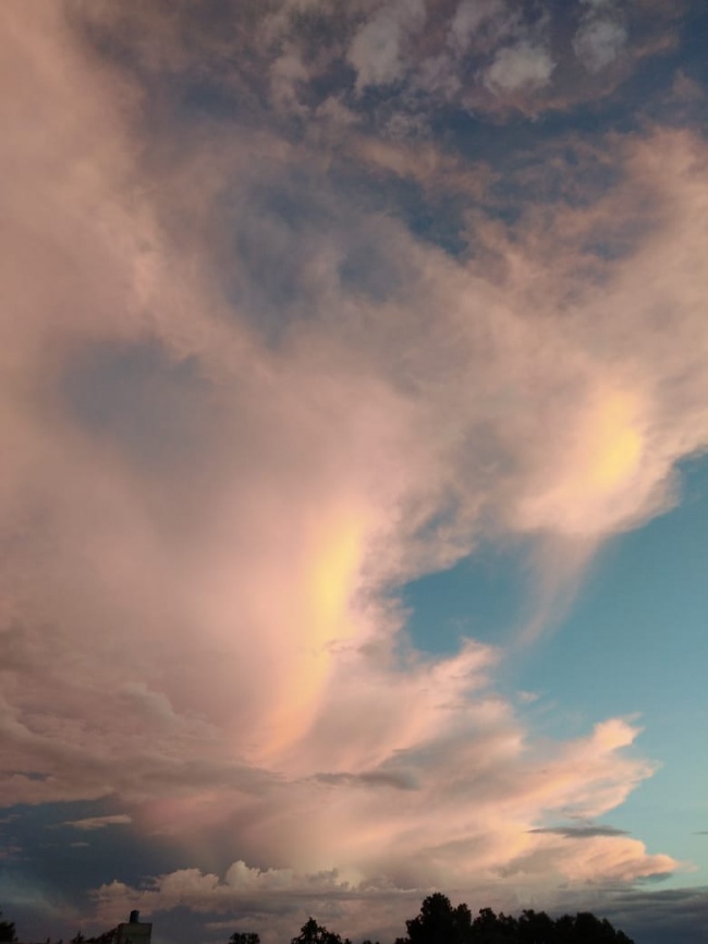 Jacqueline Mejia Salas 