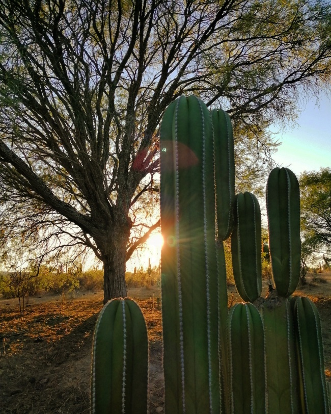 foto:José Eduardo Márquez Cortes - lo hecho en México