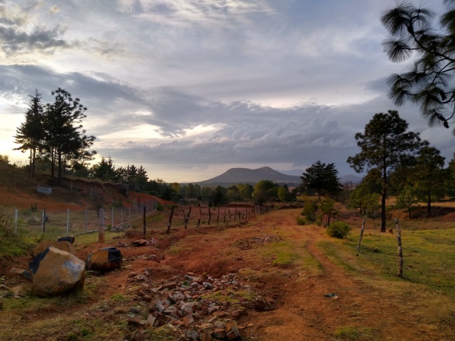 Virginia Paulin Posadas 