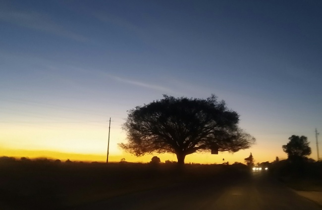 Raúl Álvarez Esquivel 